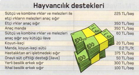 hayvancilik destekleri