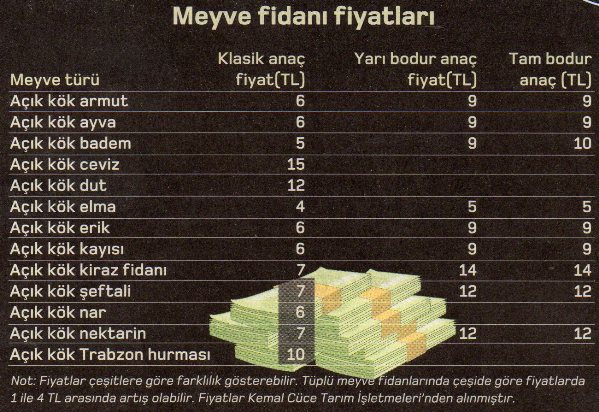 meyve fidan fiyatlari