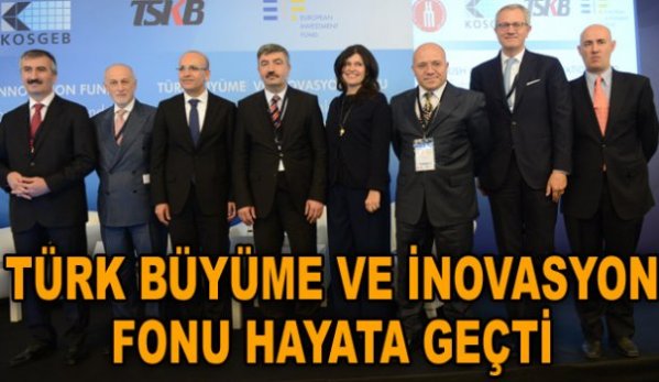 Türk Büyüme ve İnovasyon Fonu