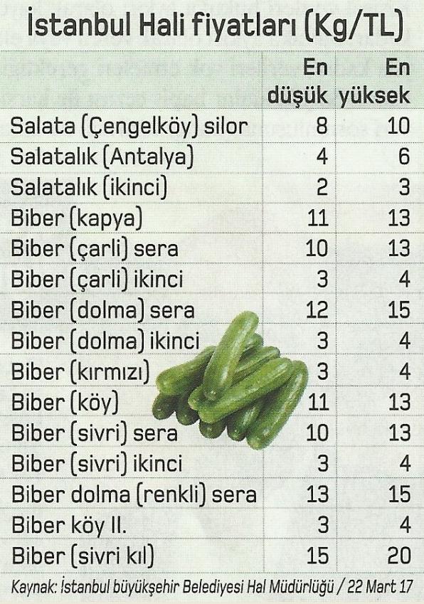 biber ve salatalik fiyatlari