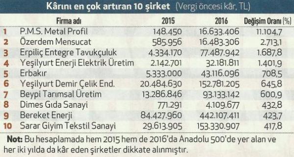 kazancini artiran 10 sirket