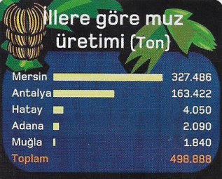 illere gore muz uretimi