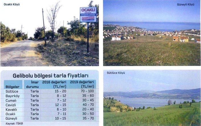 4 gelibolu tarla