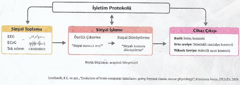 isletim protokolu