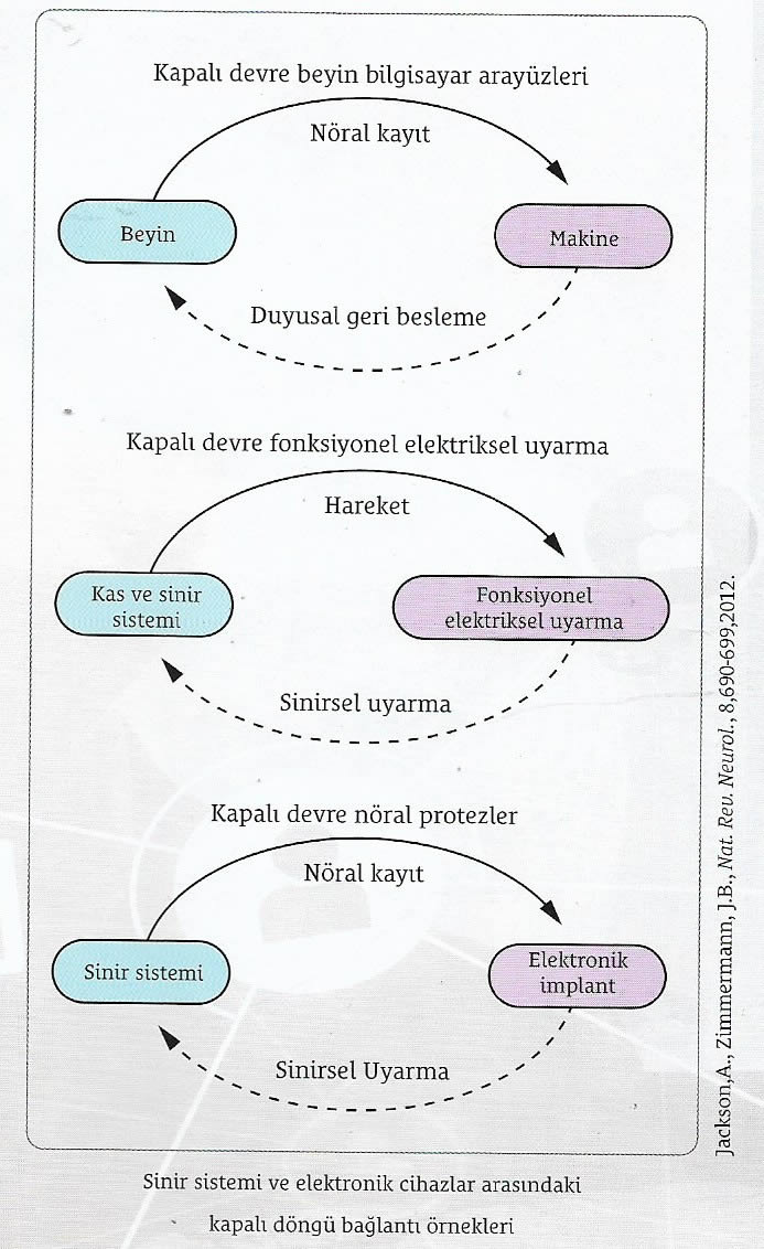 kapali dongu