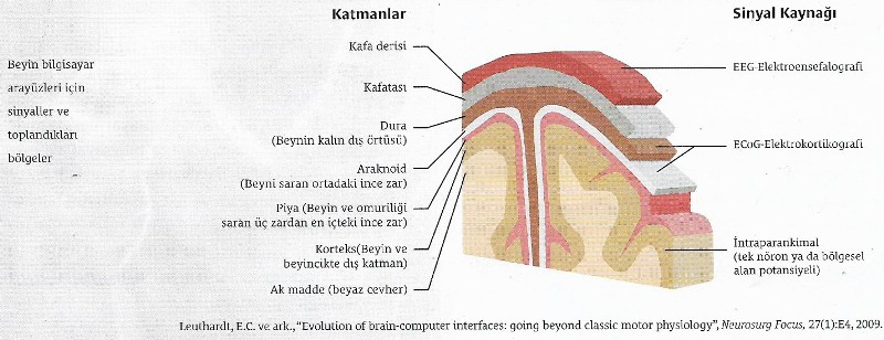 katmanlar