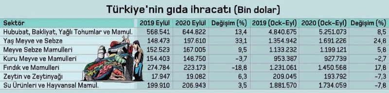 gida ihracati 2020