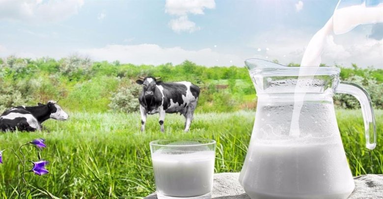 Çiğ Süt Üretimi