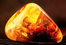 Kehribar Sektörü: Girişimciler İçin Parlayan Fırsat 32 Kehribar